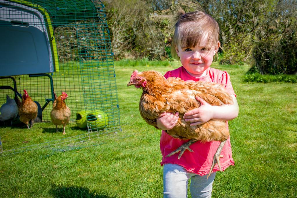 Cargurra Farm Vila Boscastle Exterior foto